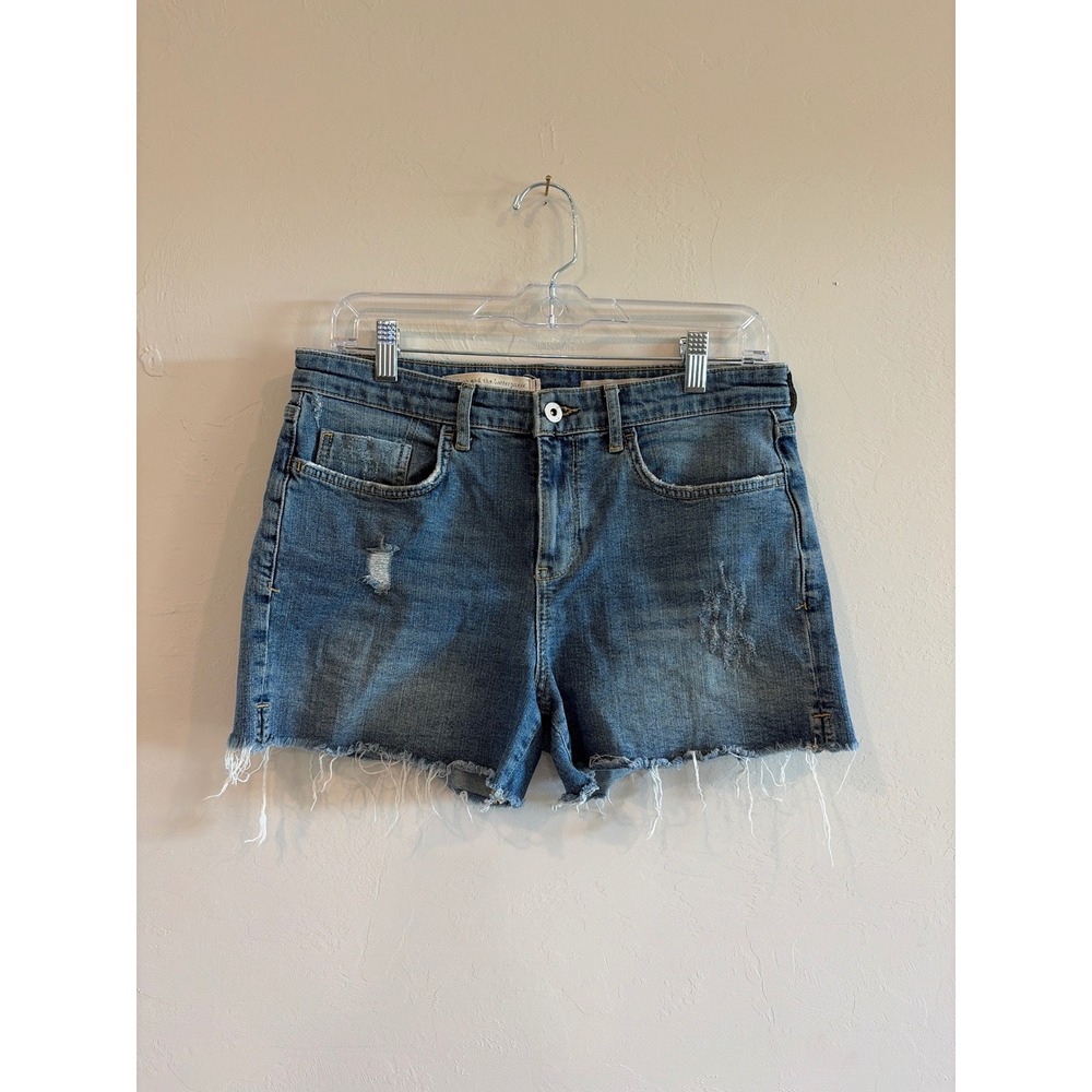 Anthropologie Pilcro Slim Boyfriend Denim Shorts Distressed Blue Size 28